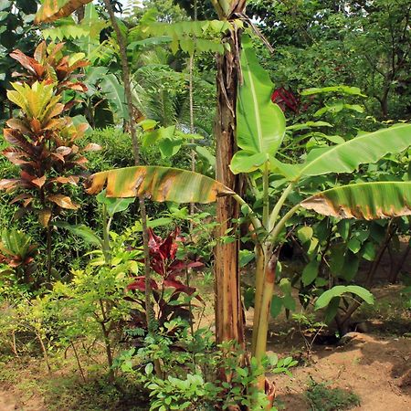 Suba Home Stay Sigiriya Exterior foto