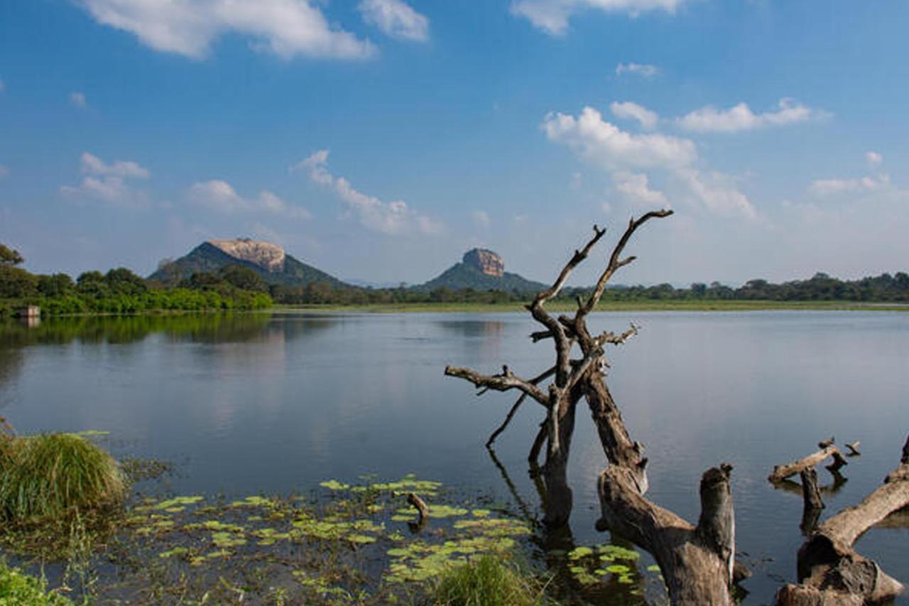Suba Home Stay Sigiriya Exterior foto